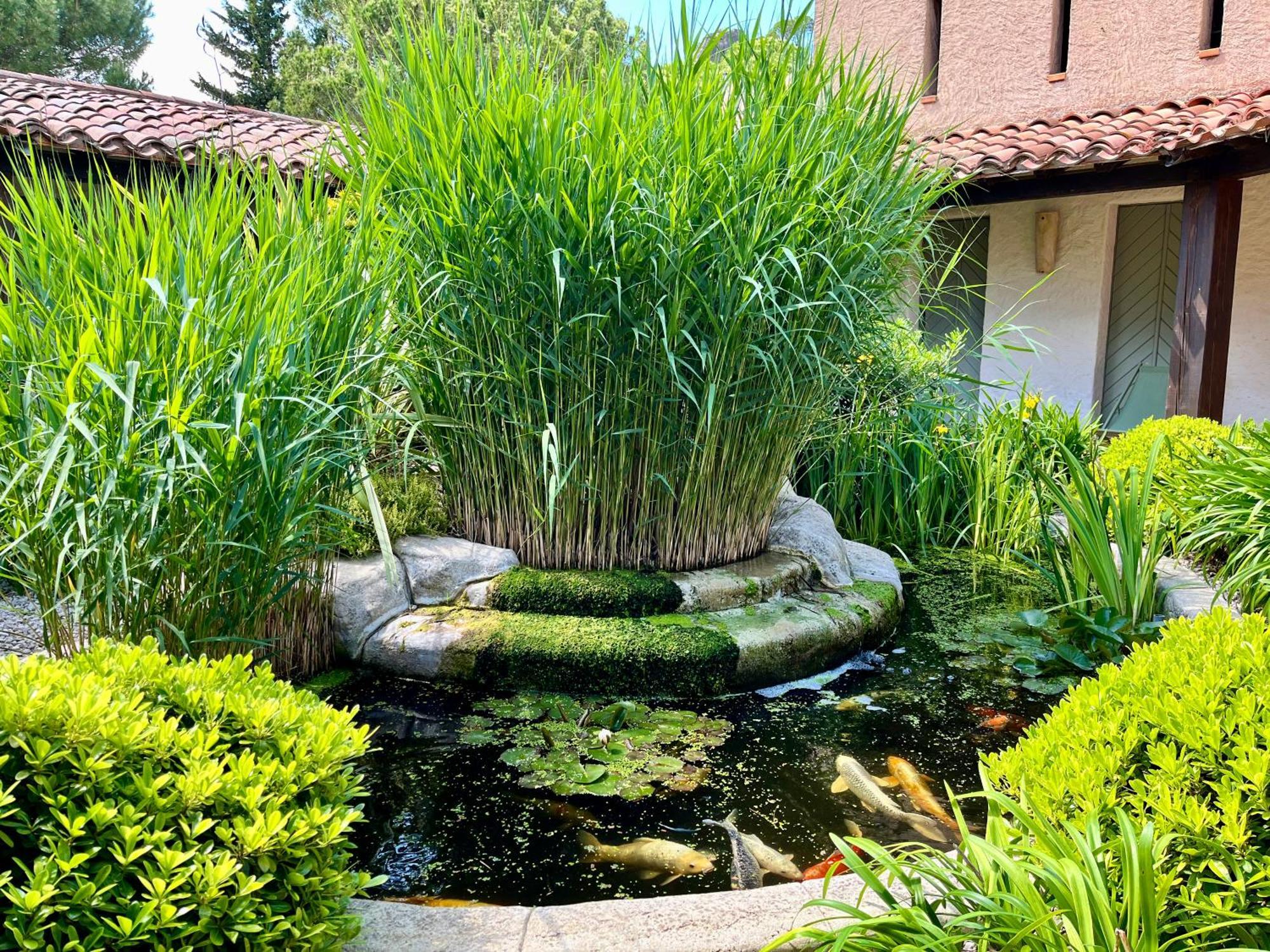 Auberge Val Moureze Hotel & Spa Eksteriør billede